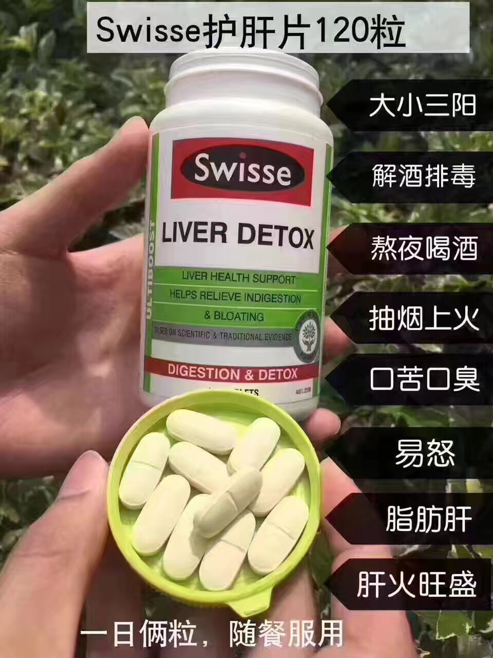 澳洲swisse护肝片蓟草精华120粒k