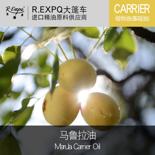 马鲁拉油marulacarrieroil冷压初榨进口植物油基础油原料批发