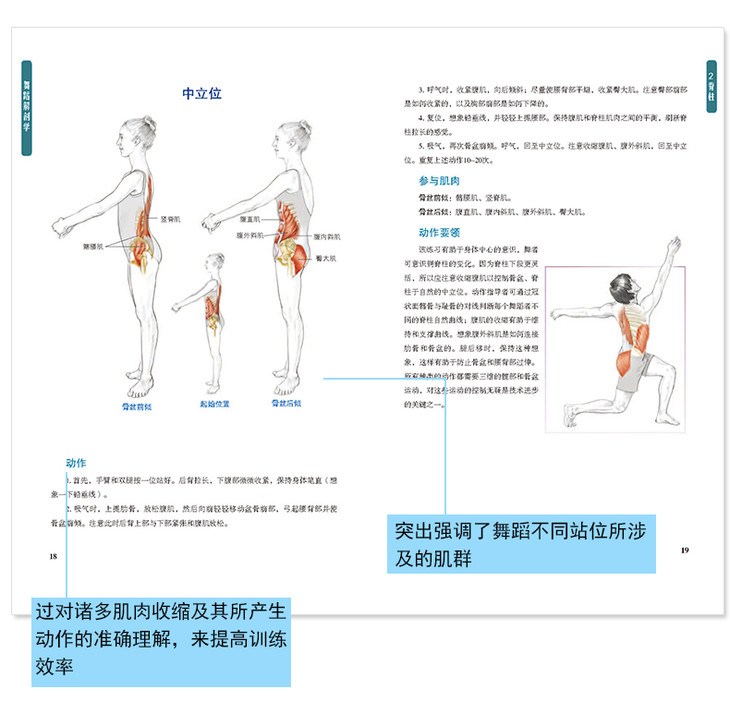 正版包邮舞蹈解剖学关于舞蹈基础解剖知识书籍舞蹈的动作分析