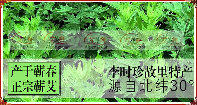 gm2Si/qjzNT2DcVNrygBSmJUm0YQ3v7tXWcK