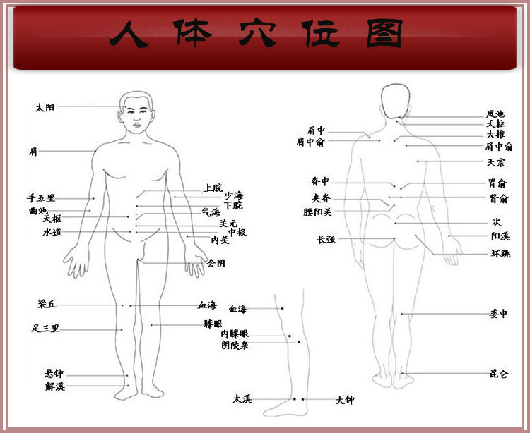 人体穴位图