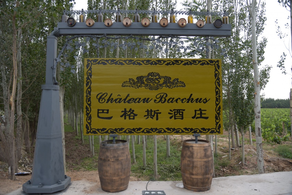 宁夏巴格斯列级酒庄收藏级葡萄酒(梦境)