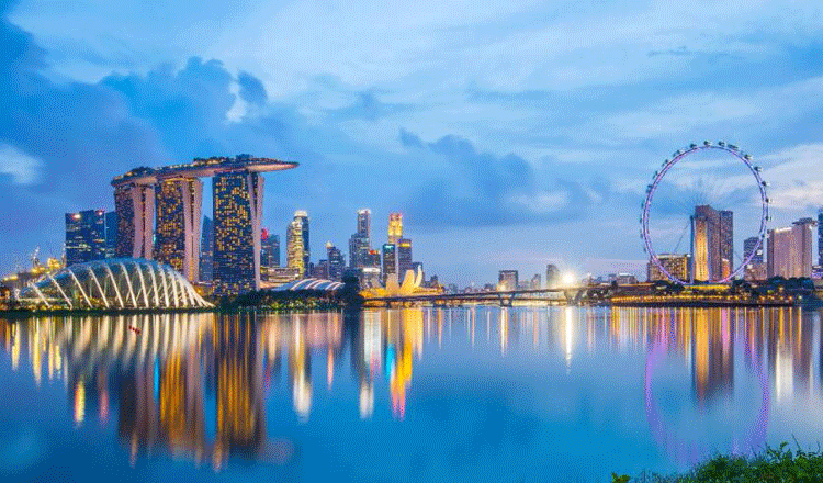 【麦里芝营地】研学夏令营-花园城市探索营 | 走进麦里芝营地,玩转