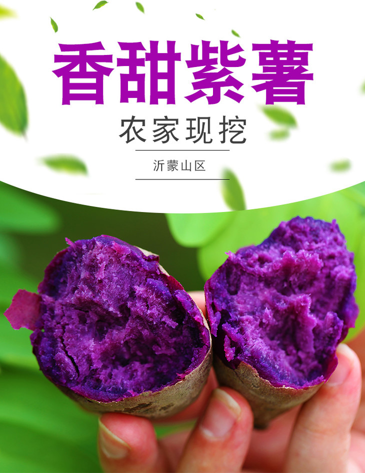 沂蒙山农家自种紫薯新鲜现挖番薯地瓜紫山芋蜜薯新鲜蔬菜5斤