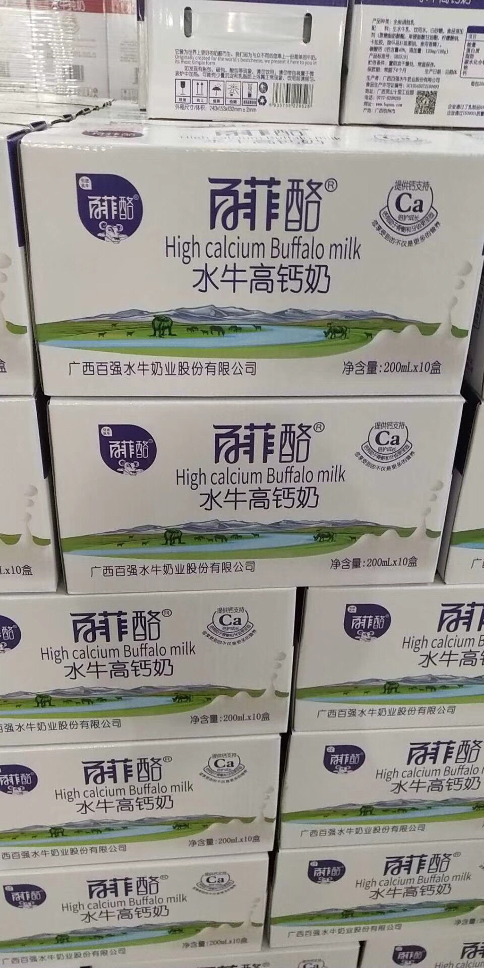 每日鲜渠道百菲酪高钙水牛奶奶酪口感专为补钙人群设计200ml12盒