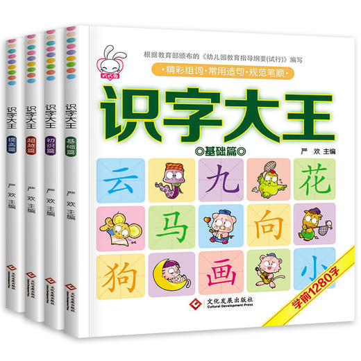 园儿童幼儿早教记忆识字书教材宝宝认字书幼儿阅读与识字书籍简单汉字