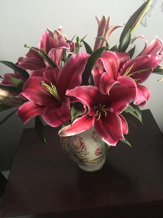 黑美人百合(混批20扎起发 昆明嗯哼鲜花基地直发
