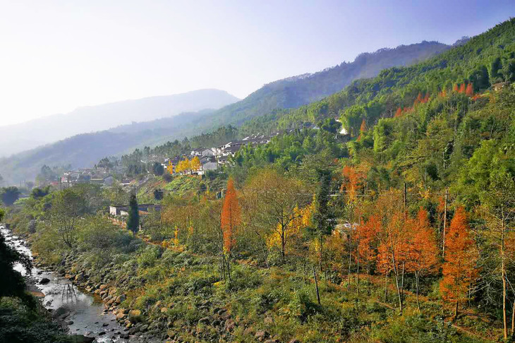 【大邑-雾山农场】雾上桃源邂逅大邑桃花源,仅1.5h车程泡私人药汤