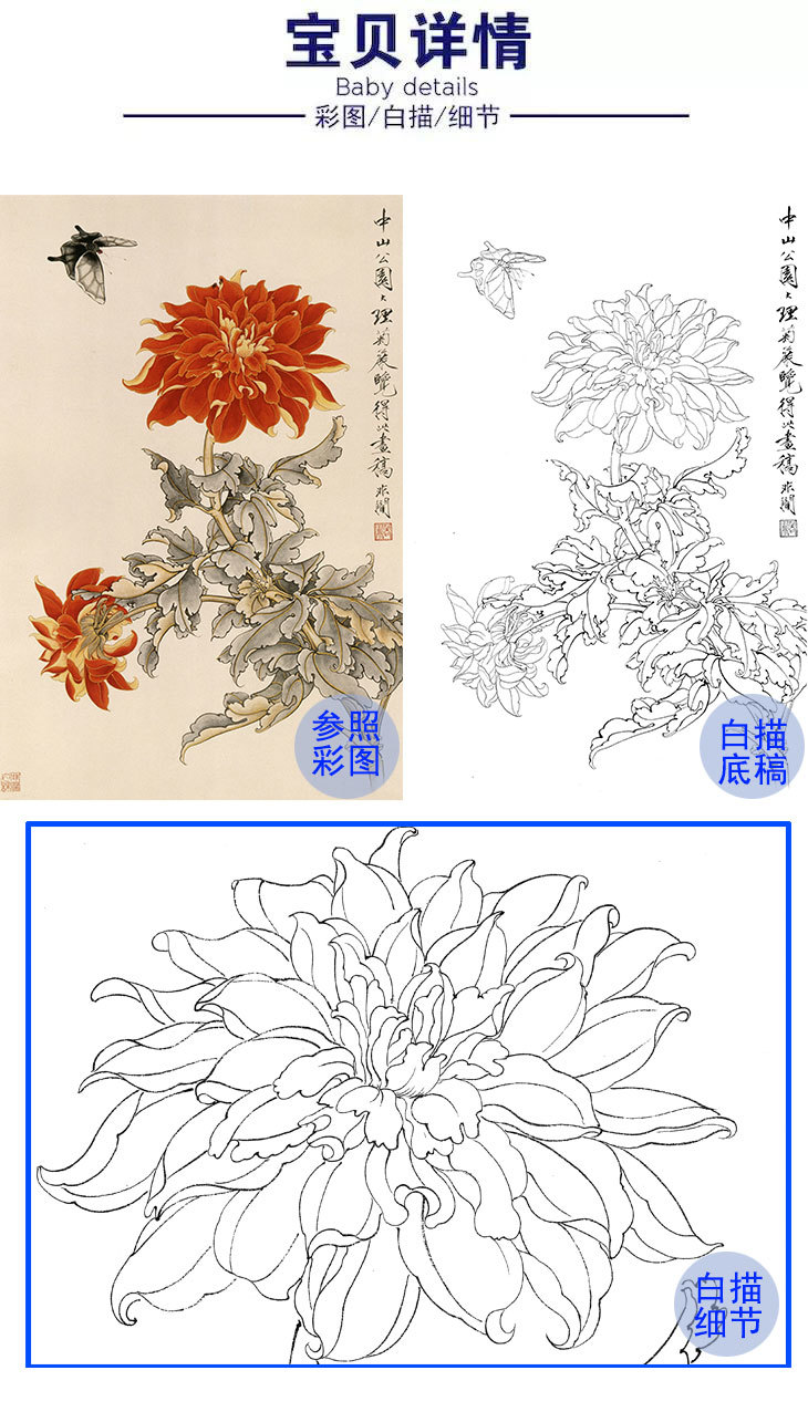 于非闇竖幅工笔花鸟白描底稿大丽花多种白描尺寸可选yf24