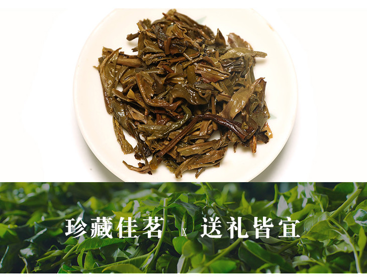 高黎贡山普洱茶生茶饼茶云南普洱茶古树茶回滇手工制作357克七子饼