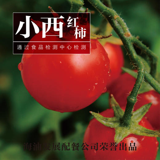 小西红柿1斤(仅限天津门店自提,不支持快递配送)