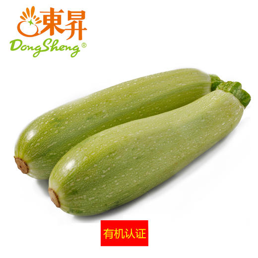 东升农场有机西葫芦云南小瓜白瓜广州供港新鲜蔬菜配送400g