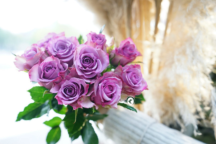 每周一花紫霞仙子玫瑰199元10枝1月1日2日可以提货喽