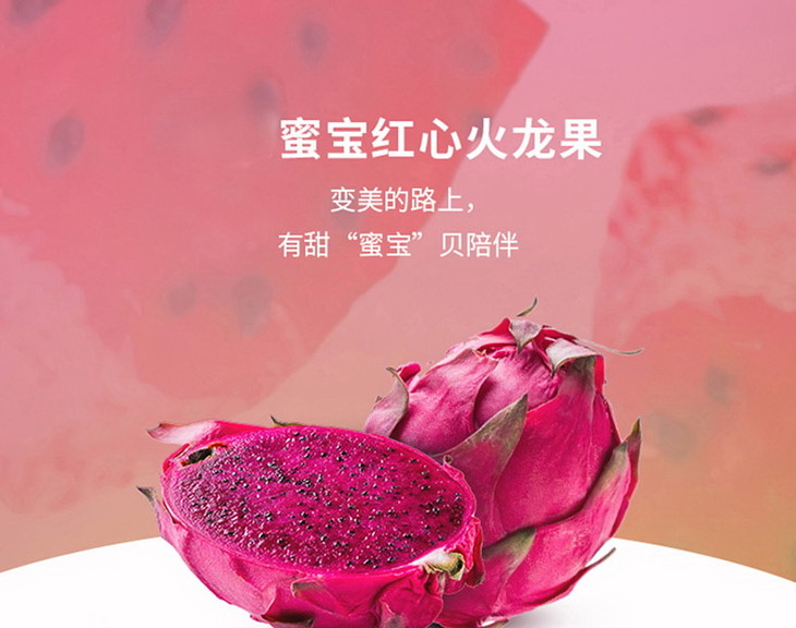台湾红龙果蜜宝