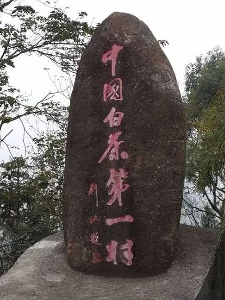 福鼎茶业版图巨大,这款茶产自"中国白茶村"福鼎柏柳村