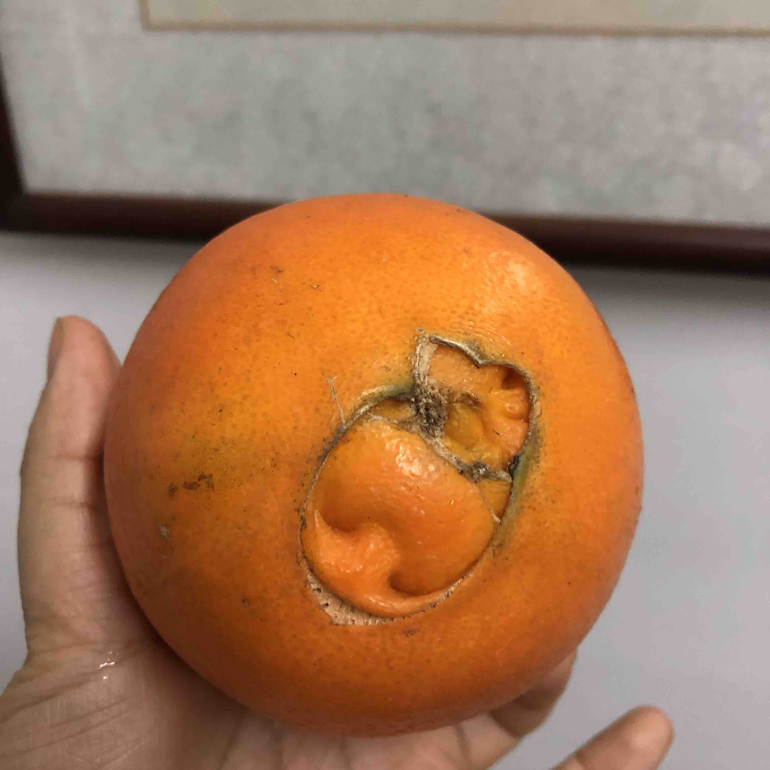 湖南山里红脐橙橙子 abcd