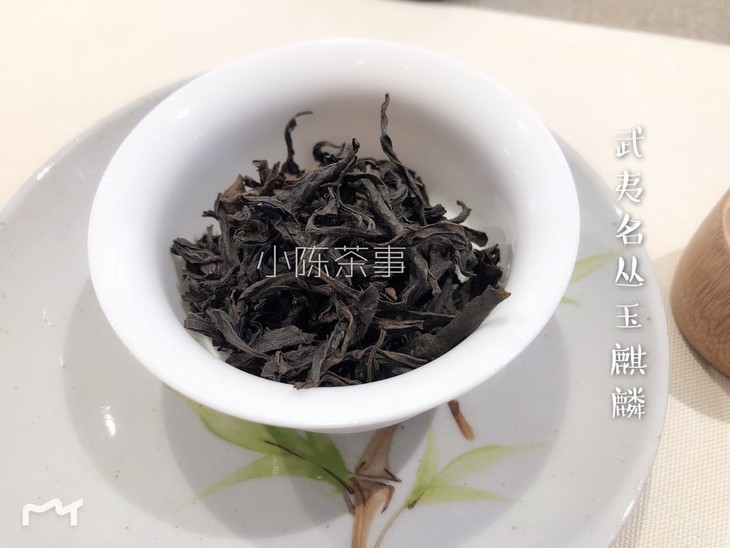 武夷名丛玉麒麟100份限时特卖 小陈茶事的茶空间