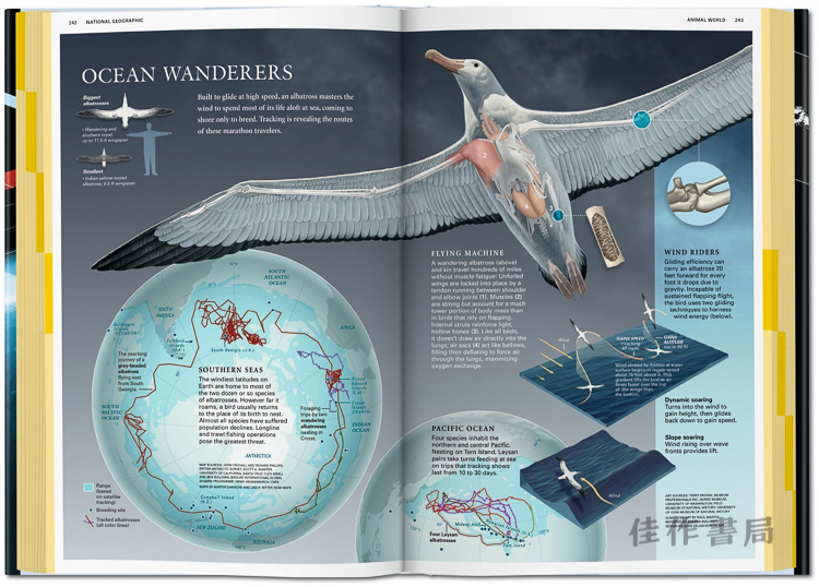 national_geographic_infograph_ju_int_open_0242_0243_03431_1611281822_id_1085905.jpg