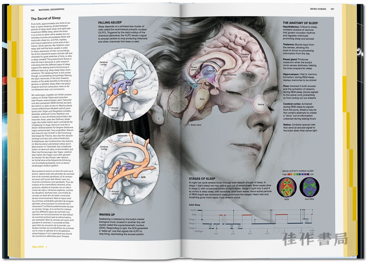 national_geographic_infograph_ju_int_open_0186_0187_03431_1611281821_id_1085914.jpg