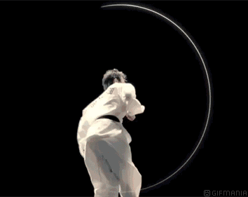 9元抢购两节 瑞力跆拳道 精品课!