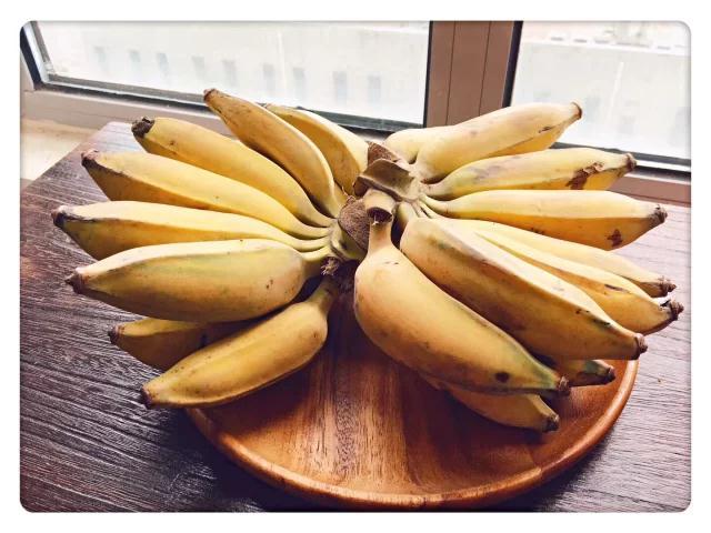 老实芭蕉自然成熟公平贸易基地直发包邮bananafairtrade