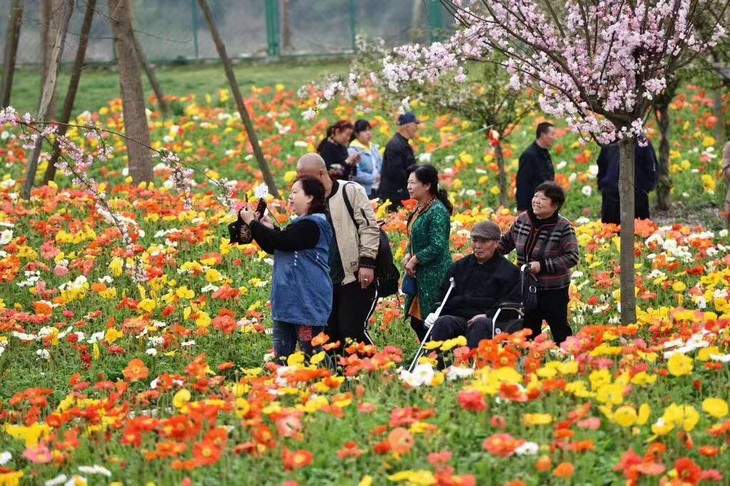 9元亲子踏春赏花套票!含:门票 萌宠乐园观赏票 滑翔翼体验9折优惠!