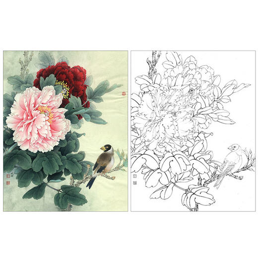 李晓明工笔牡丹白描底稿《二乔蜡嘴-多种白描尺寸可选-k028