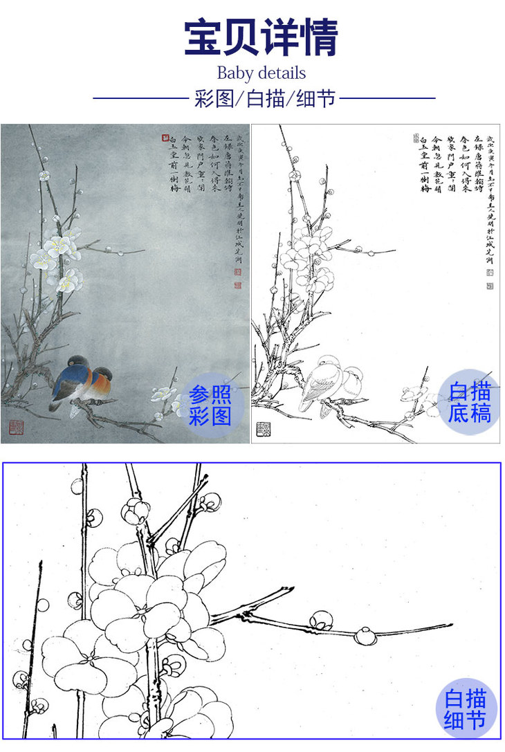 李晓明工笔花鸟白描底稿梅兰竹菊四册页之一多种白描尺寸可选k124