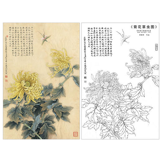 李晓明竖幅工笔花鸟白描底稿菊花草虫多种白描尺寸可选k120