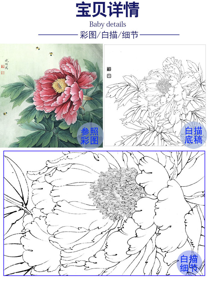 李晓明工笔牡丹白描底稿葛巾紫多种白描尺寸可选k040