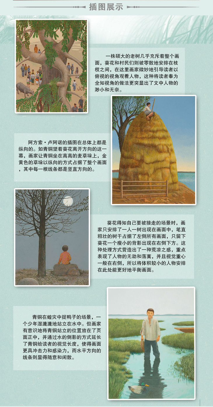 青铜葵花插图版曹文轩经典文学作品