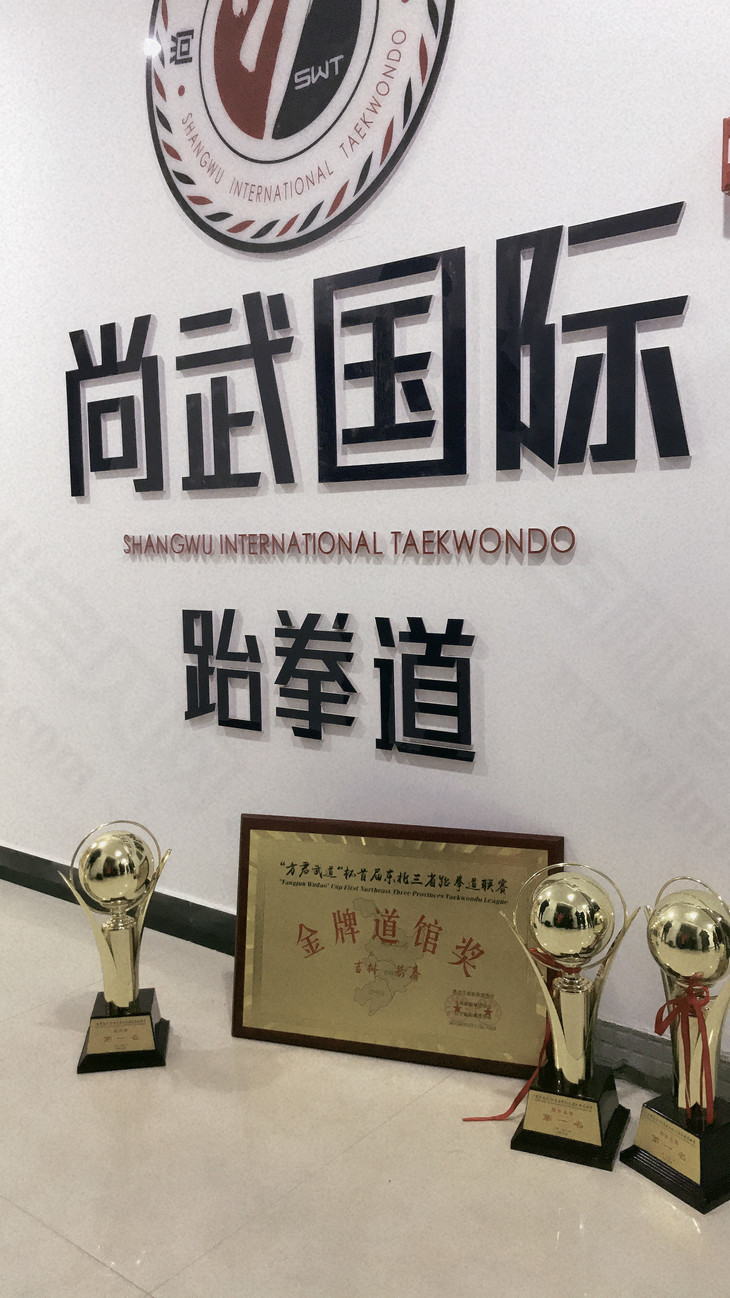 9元8节跆拳道课|尚武国际跆拳道引进独创教学法,专注青少年意志力培养