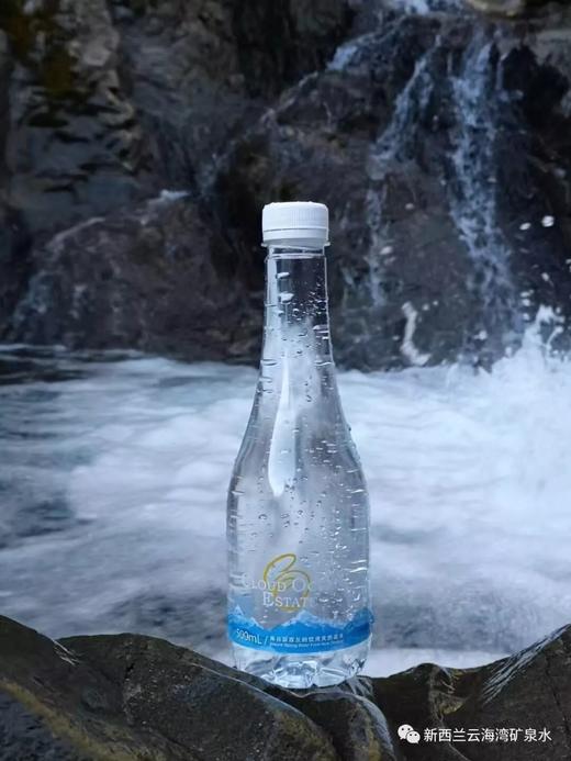 新西兰原瓶进口云海湾矿泉水500ml*12