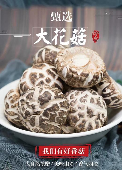 大花菇小干货野生干香菇花姑冬菇特级500g 园洋农场