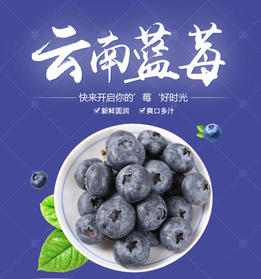 云南高原露天蓝雨蓝莓(酸甜多汁,空运)