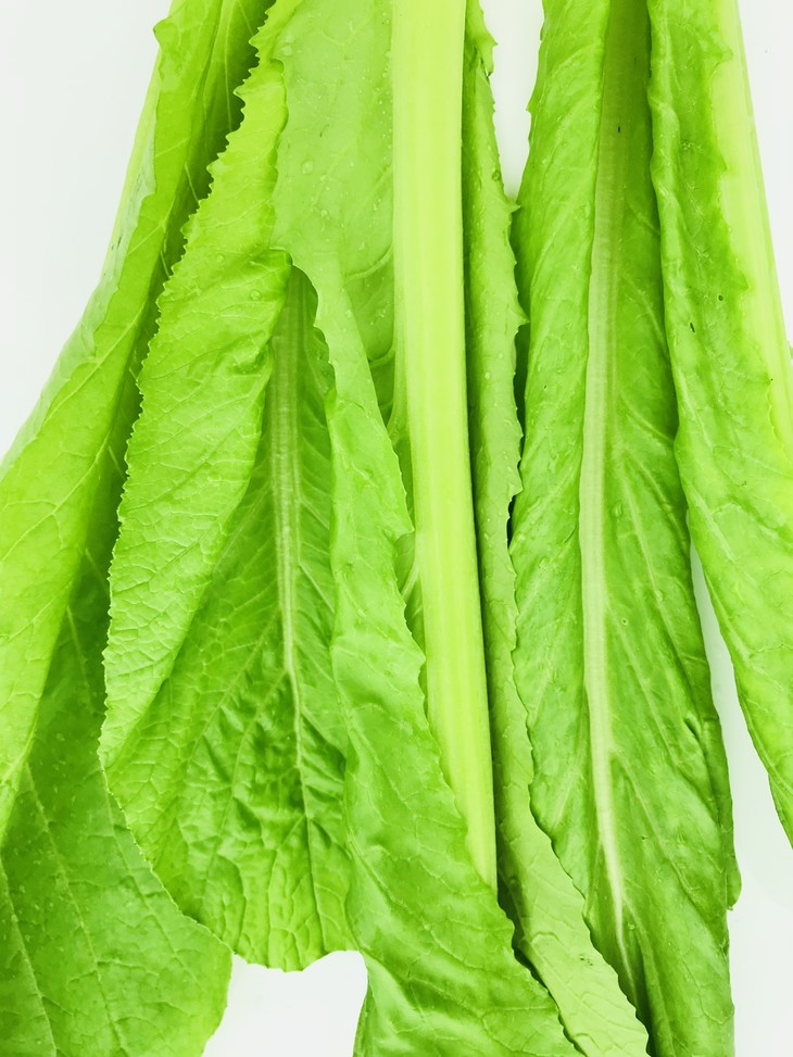 套餐d红苋菜春芥上海青玉米笋节瓜秋葵水果小青瓜共七份