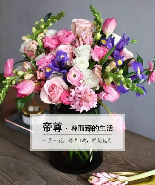 每周一花|帝尊-鲜花包月【4束/399元】.市区免费配送.