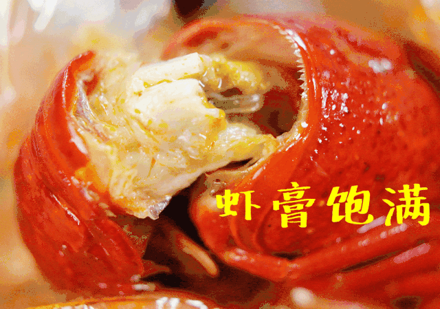 巨说还不错音乐餐厅24人精品时尚套餐