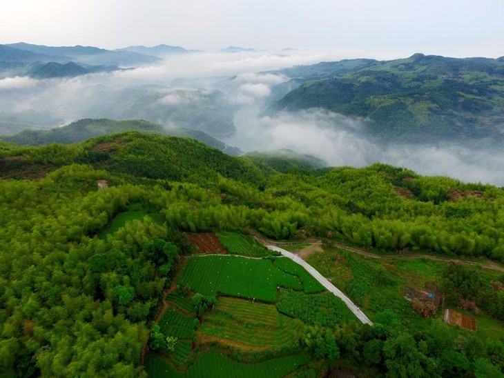 (磻溪镇大洋山茶场与云雾间的桑园水库)