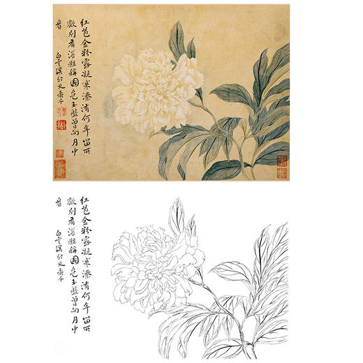 恽寿平没骨花鸟白描底稿斗方小品册页sp36