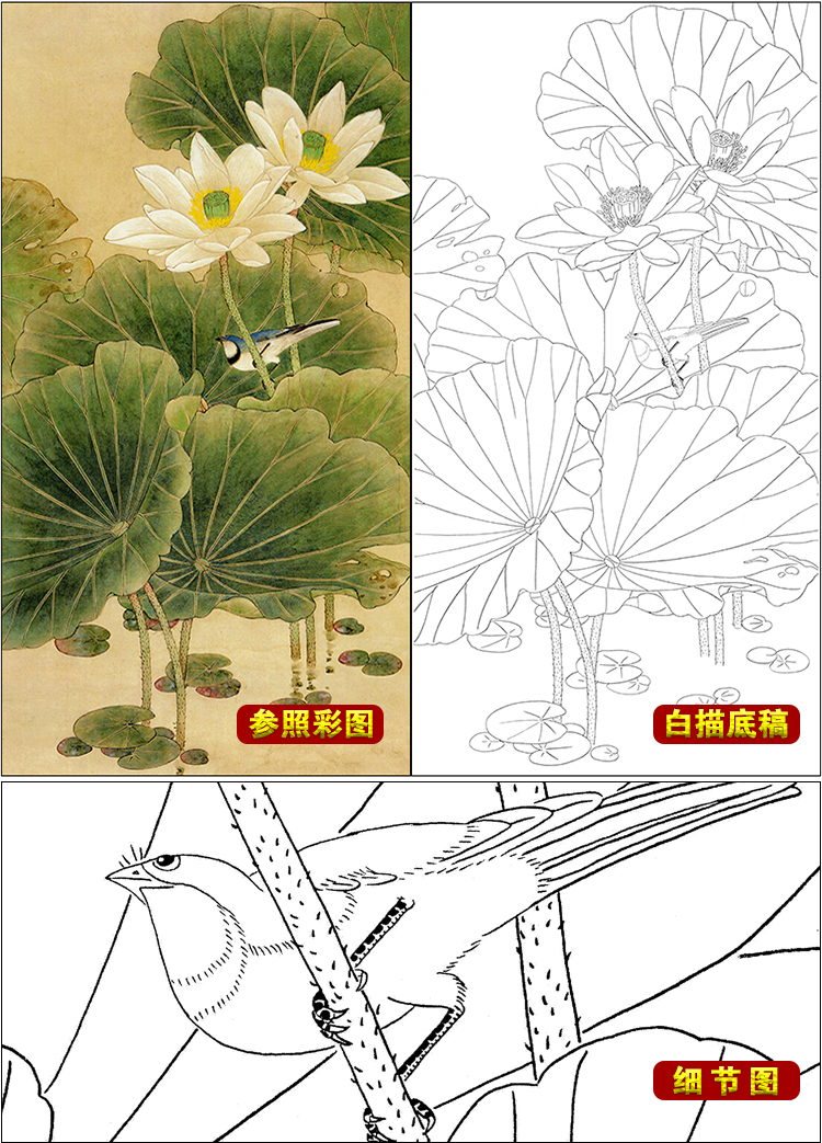 tp315喻继高工笔画荷花白描底稿国画花鸟临摹初学者入门打印稿