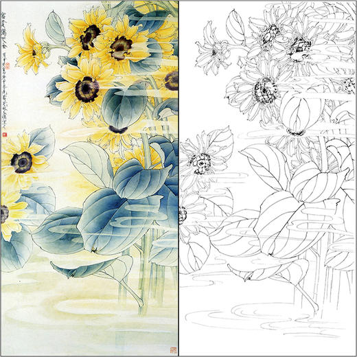 tp197王道中工笔画向日葵白描底稿国画花鸟小品临摹勾线素材线描