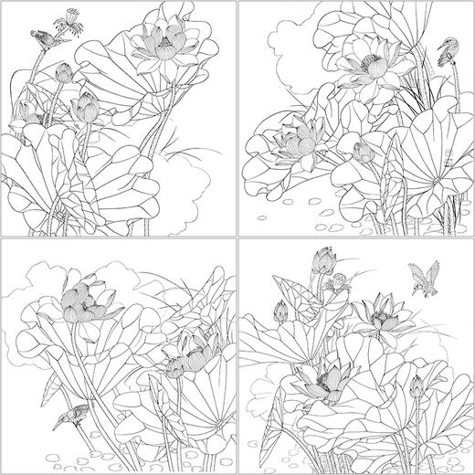 dt4工笔画荷花白描底稿 国画花鸟小品线描稿临摹练习勾线素材打印