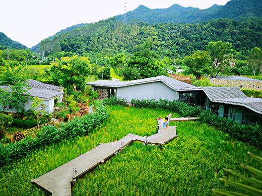 限时抢购 | 惠州博罗·禾肚里稻田酒店民宿