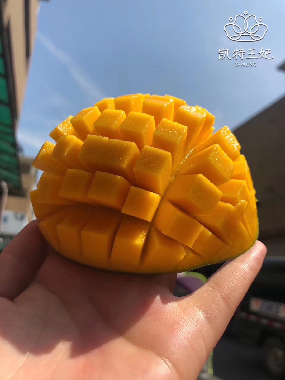 蜜流芒一箱6斤5个左右