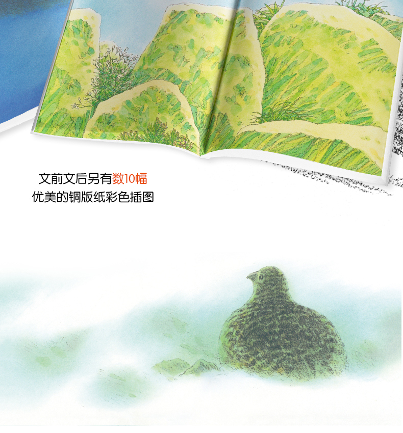岩村和朗大自然童话第二辑-天猫详情页_10.jpg