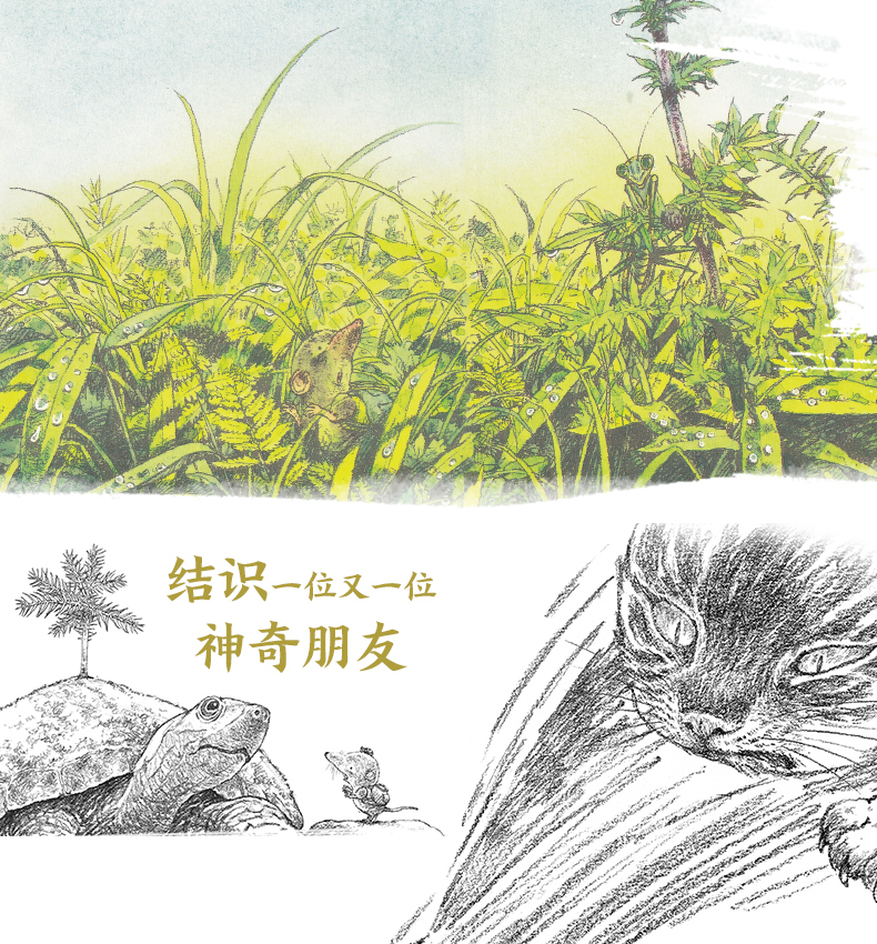 岩村和朗大自然童话第二辑-天猫详情页_05.jpg