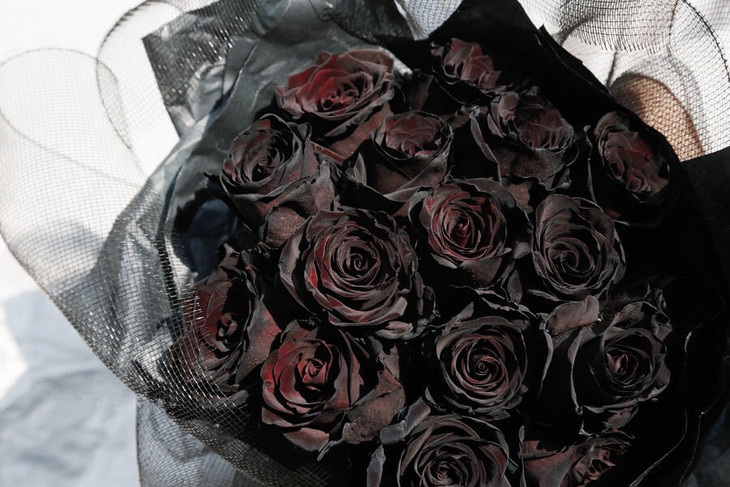小黑裙cocochanel进口厄瓜多尔黑玫瑰花束