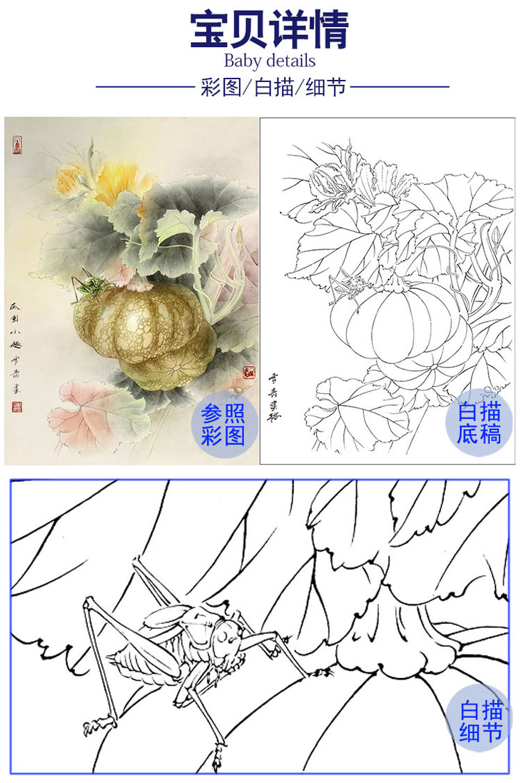 龚雪青工笔花鸟白描底稿瓜园小趣南瓜斗方小品册页多种白描尺寸可选x