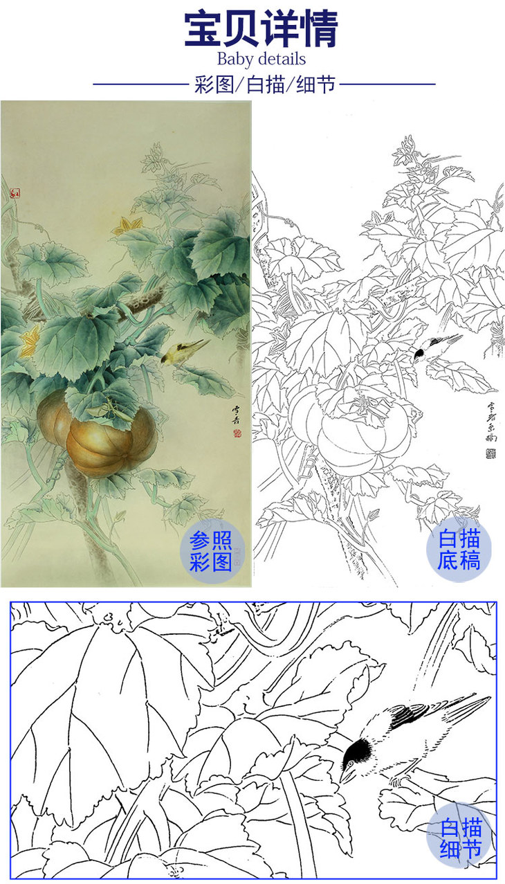 龚雪青竖幅工笔花鸟白描底稿南瓜乡间瓜趣多种白描尺寸可选xq59